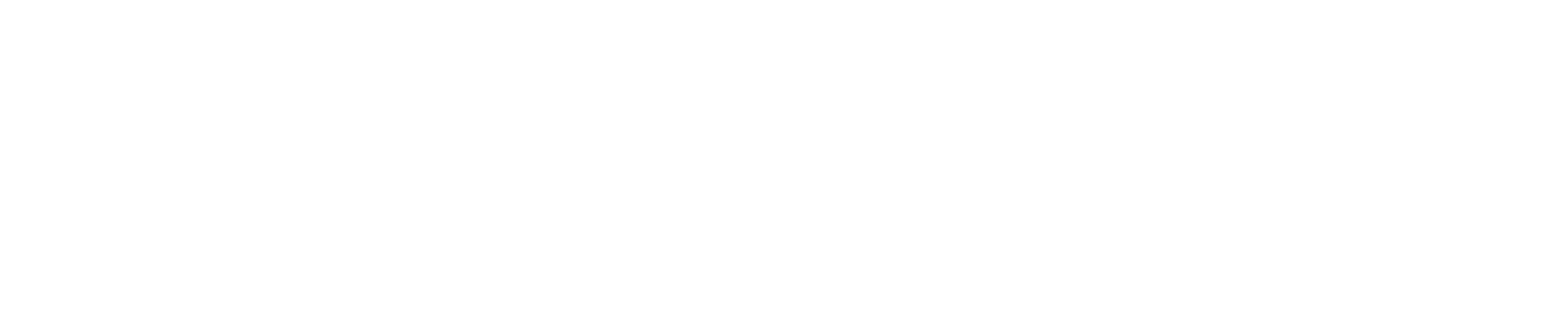 Otsuka logo